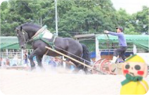 ばん馬大会