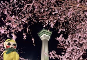 🌸夜桜🌸